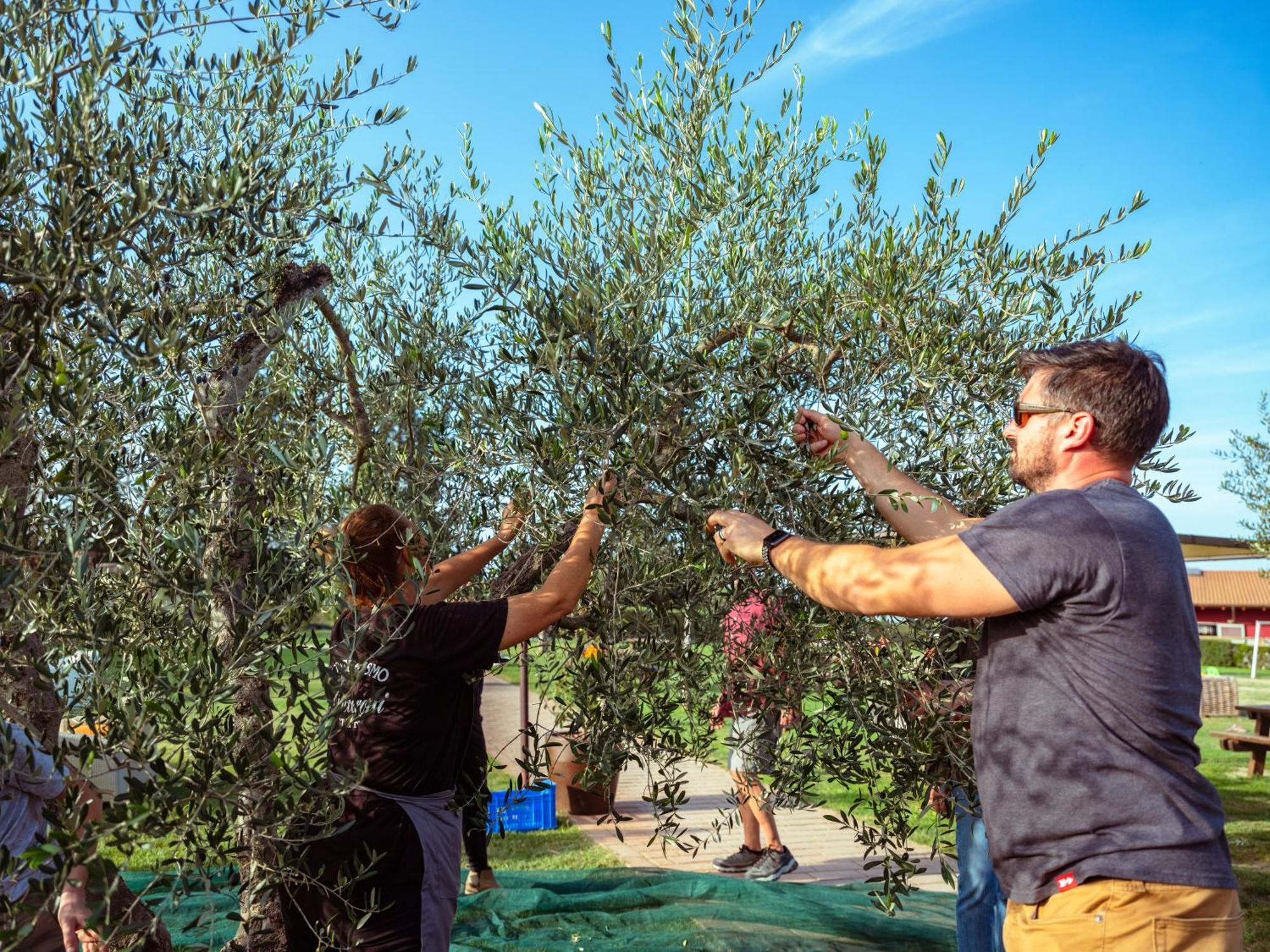 Agriturismo Pompilia Villamagna  Buitenkant foto
